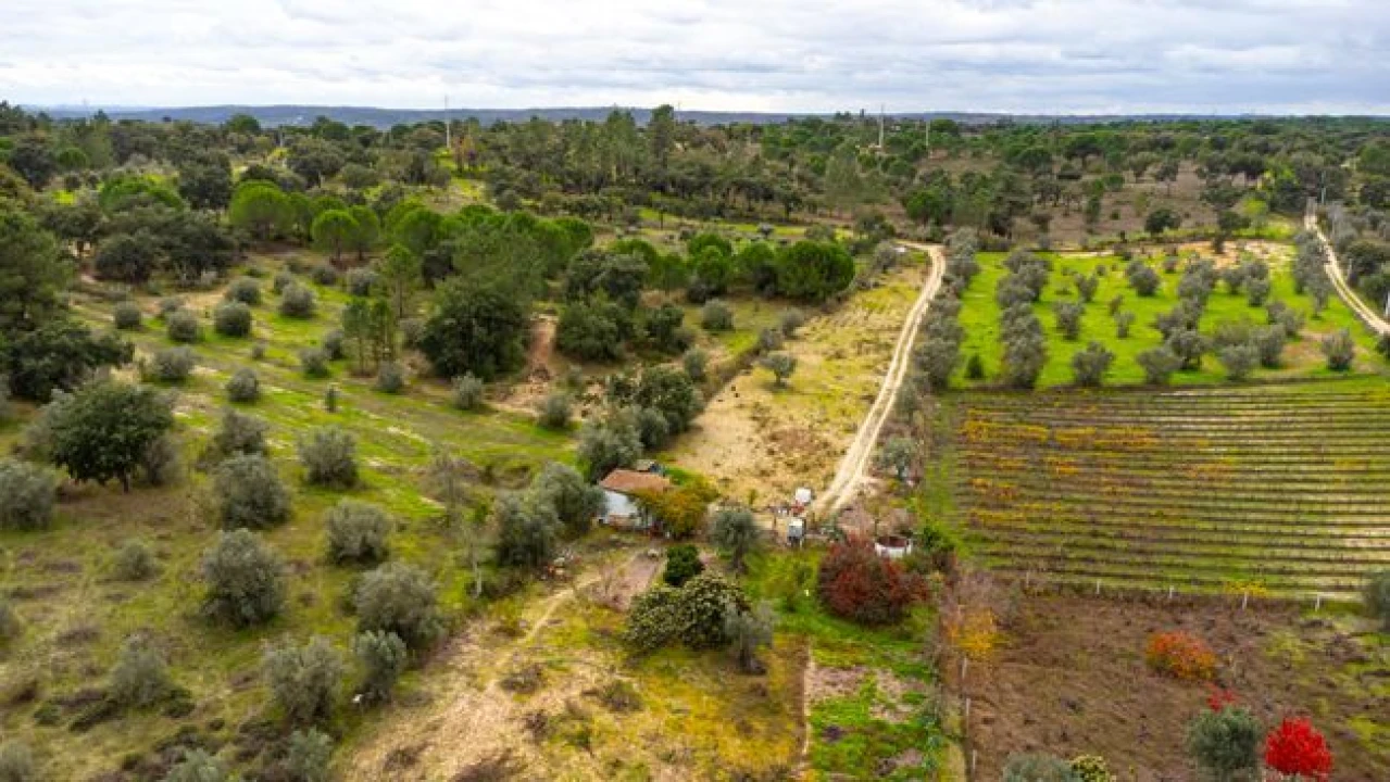 Terreno para Venda em Cabeção Foto 10