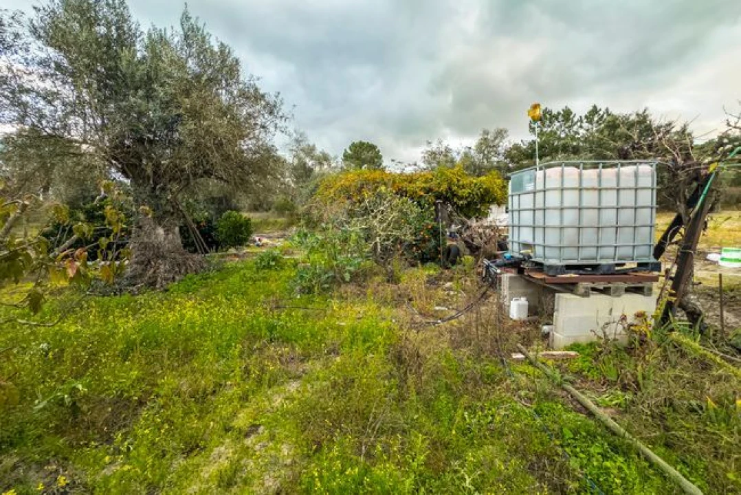 Terreno para Venda em Cabeção Foto 9