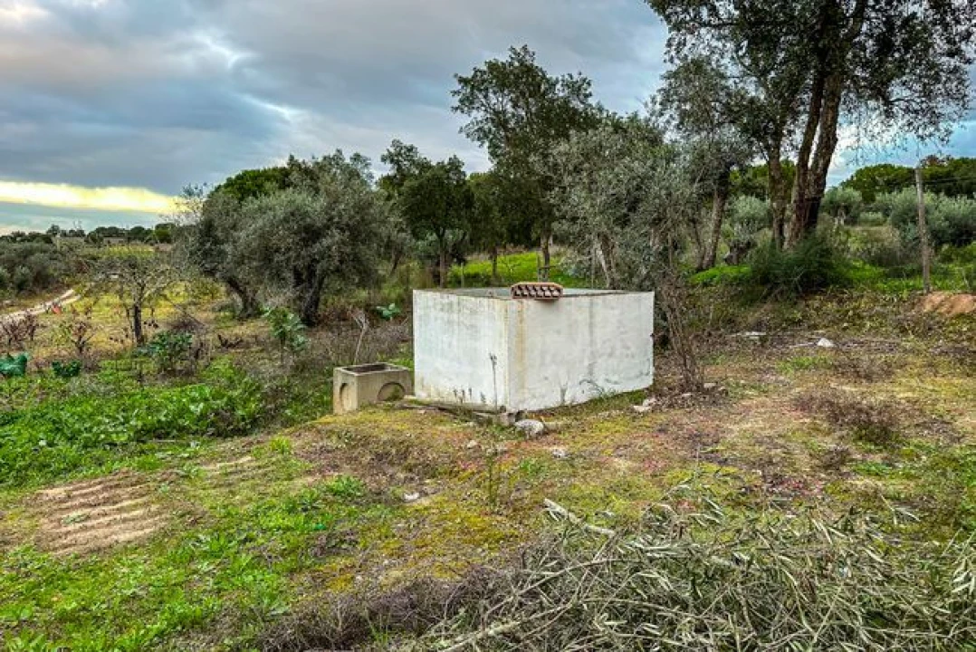 Terreno para Venda em Cabeção Foto 11