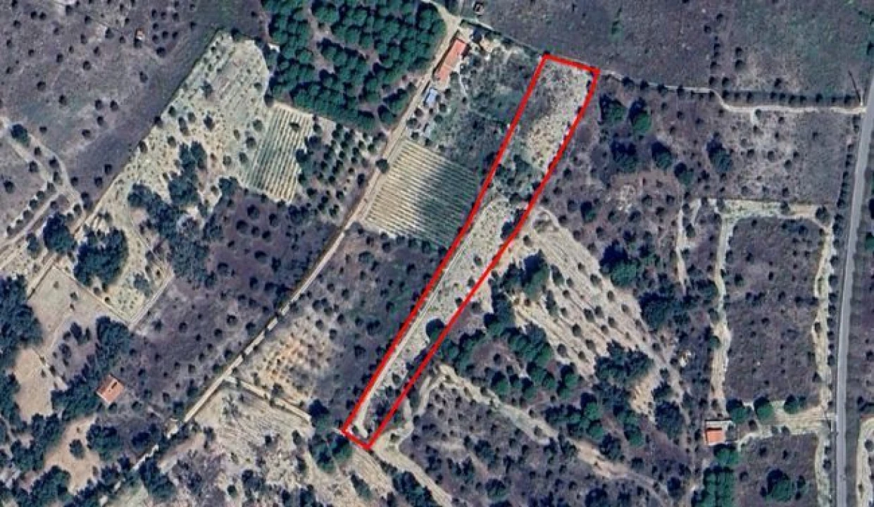 Terreno para Venda em Cabeção Foto 17