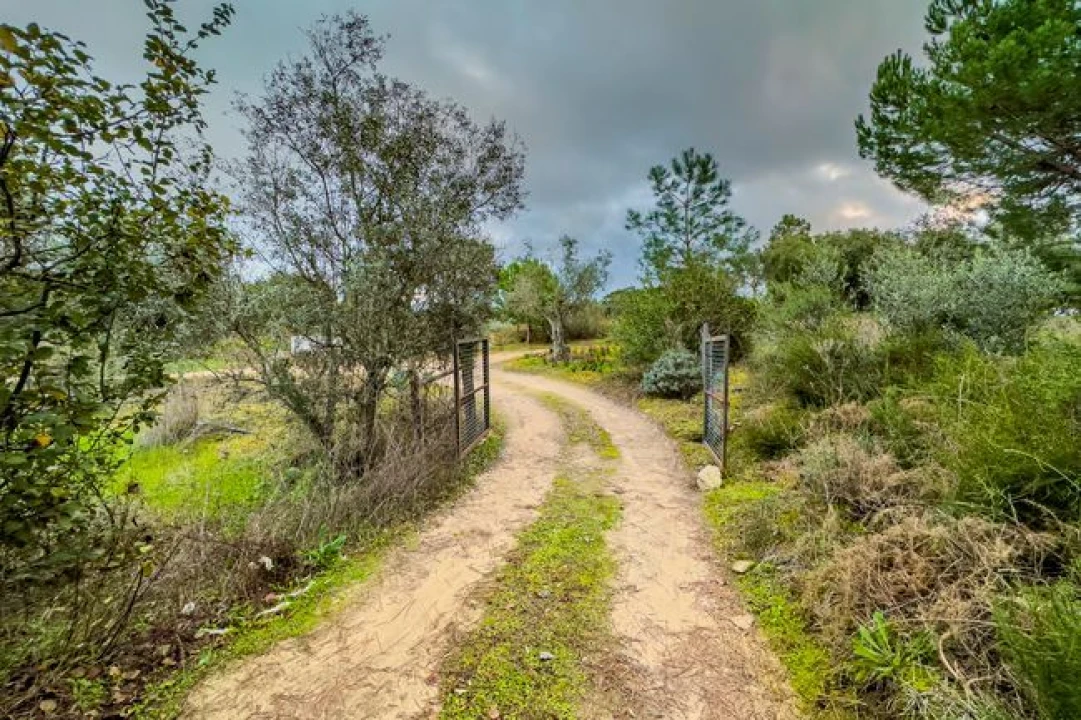 Terreno para Venda em Cabeção Foto 15