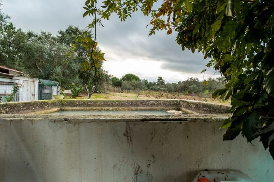 Terreno para Venda em Cabeção Foto 13