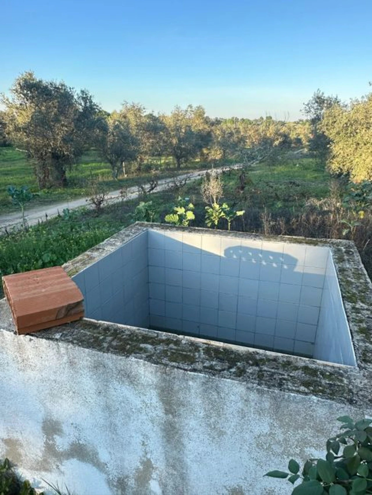 Terreno para Venda em Cabeção Foto 19