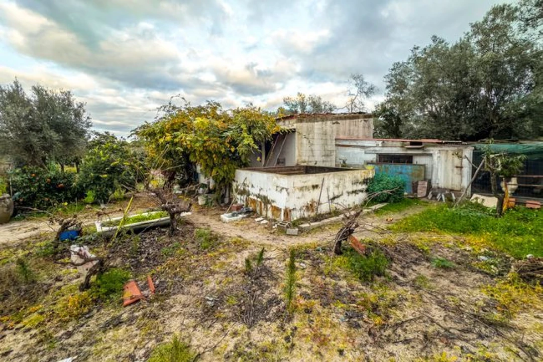 Terreno para Venda em Cabeção Foto 18