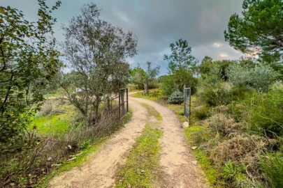 Terreno para Venda em Cabeção