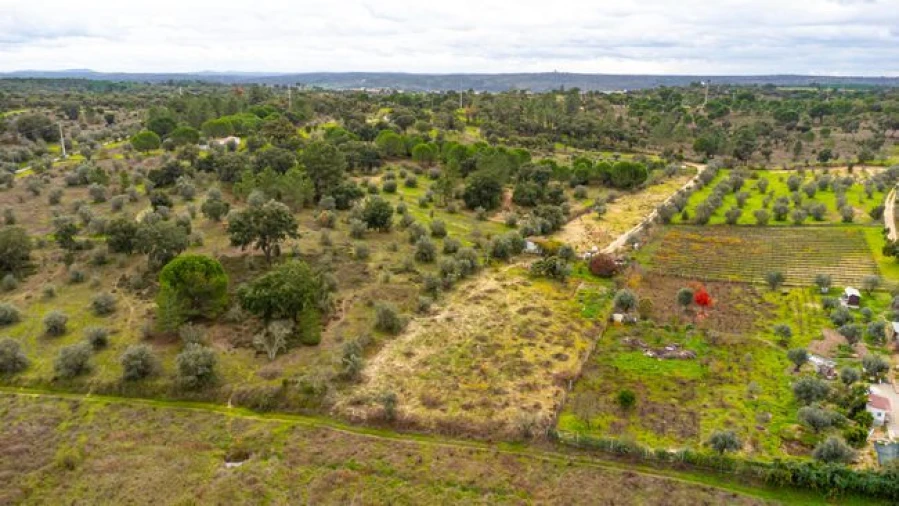 Terreno para Venda em Cabeção Foto 4