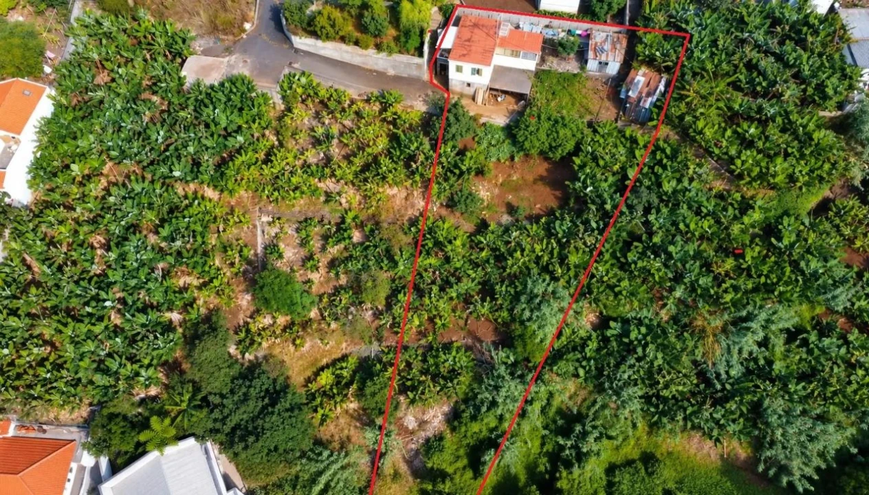 Terreno para Venda em Funchal Foto 3