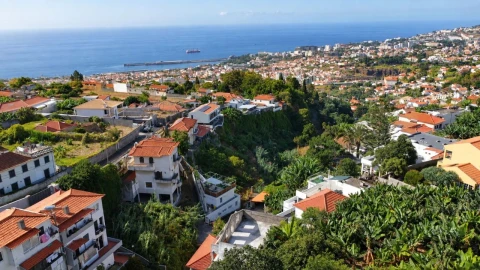 Terreno para Venda em Funchal