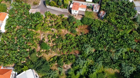 Terreno para Venda em Funchal