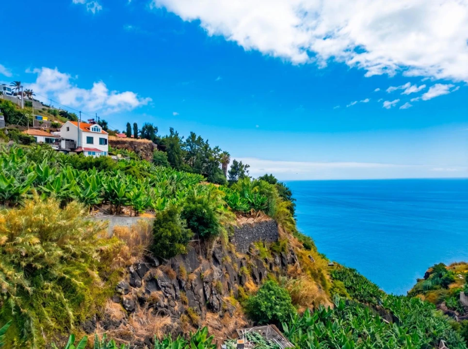 Terreno para Venda em Canhas Foto 3
