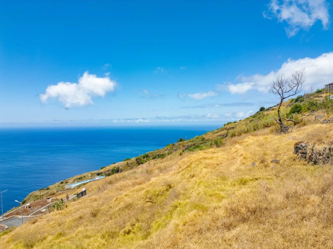 Terreno para Venda em Fajã da Ovelha Foto 21