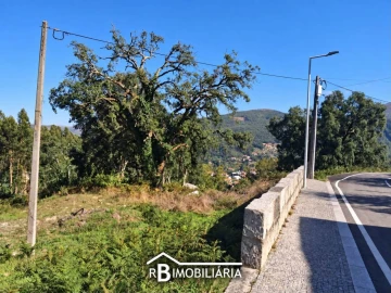 Terreno para Venda em Portela