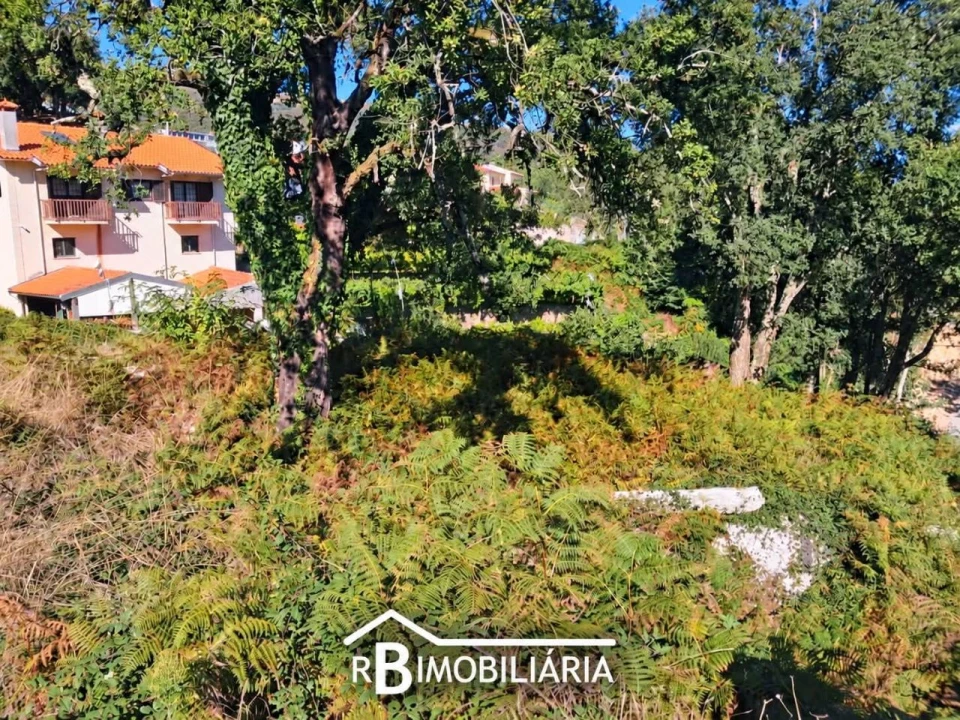 Terreno para Venda em Portela Foto 4