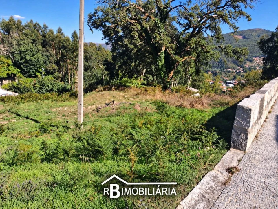 Terreno para Venda em Portela Foto 3