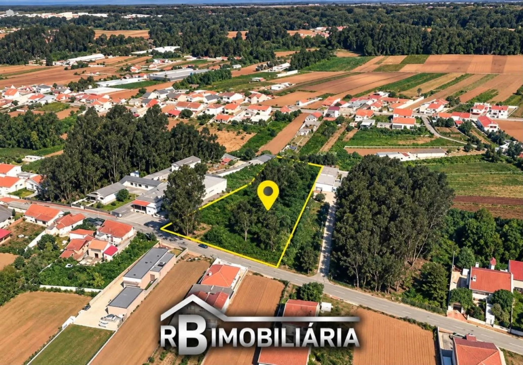 Terreno P/ Prédio para Venda em São João Foto 5