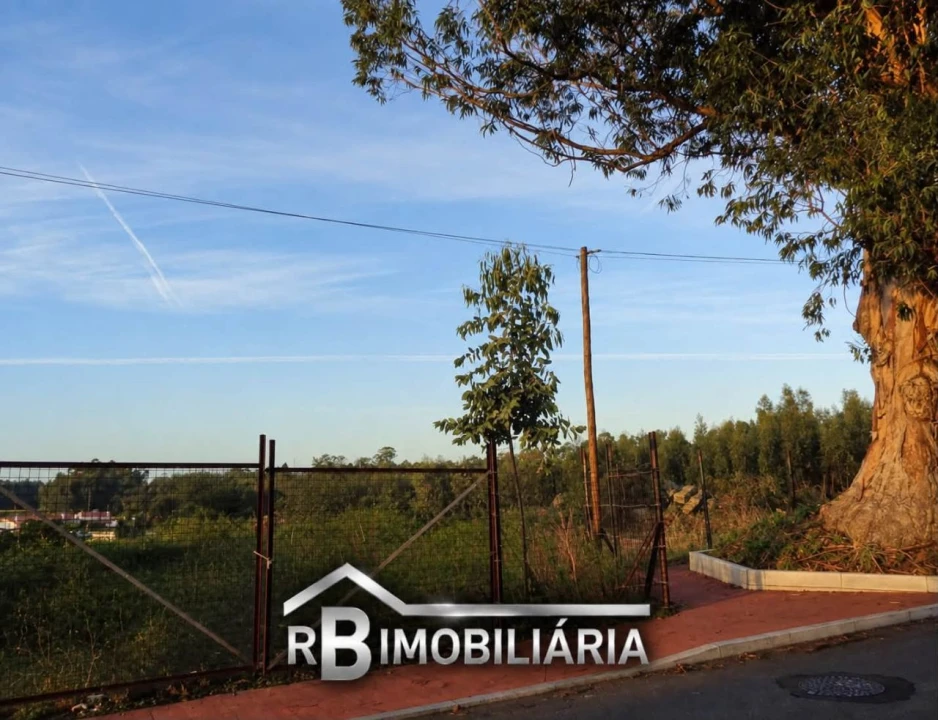 Terreno P/ Prédio para Venda em São João Foto 4