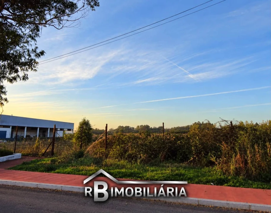 Terreno P/ Prédio para Venda em São João Foto 6
