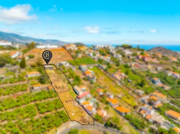 Terreno para Venda em Funchal