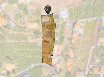Terreno para Venda em Funchal