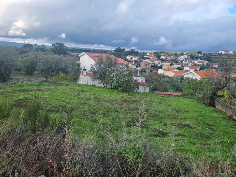 Terreno para Venda em Casas de Soeiro Foto 6