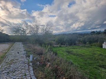 Terreno para Venda em Casas de Soeiro