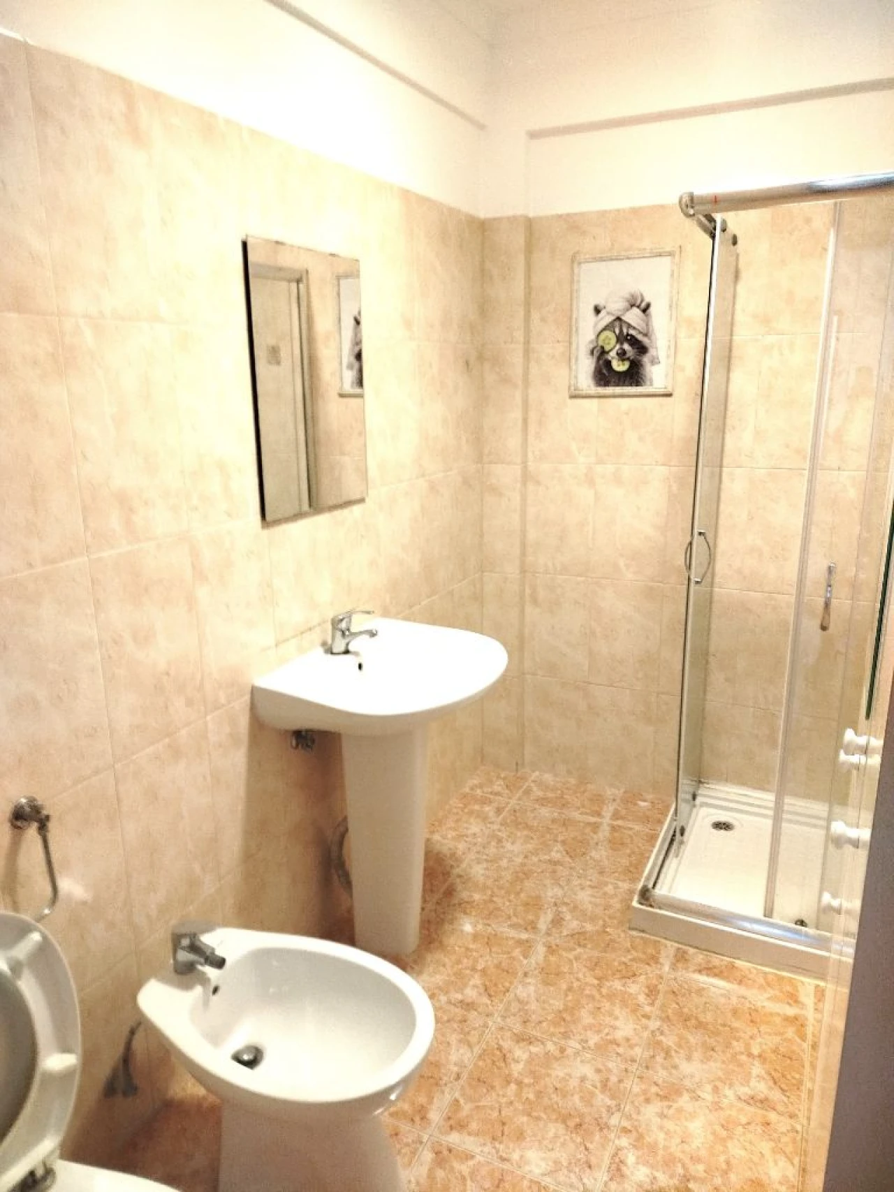 Apartamento T1 para Arrendamento em Corroios Foto 13
