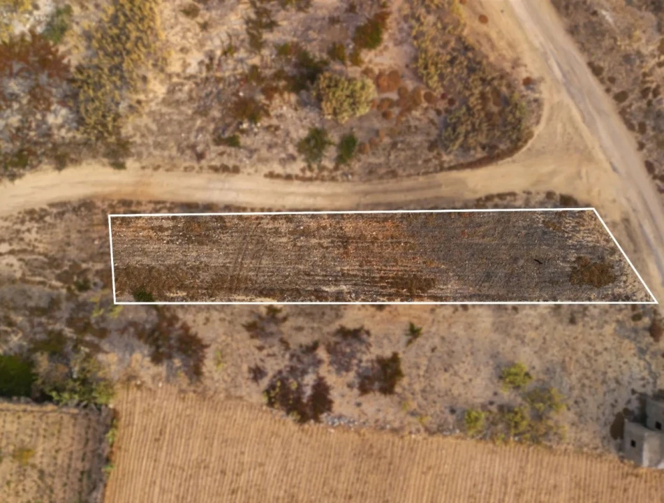 Terreno para Venda em Porto Santo Foto 7