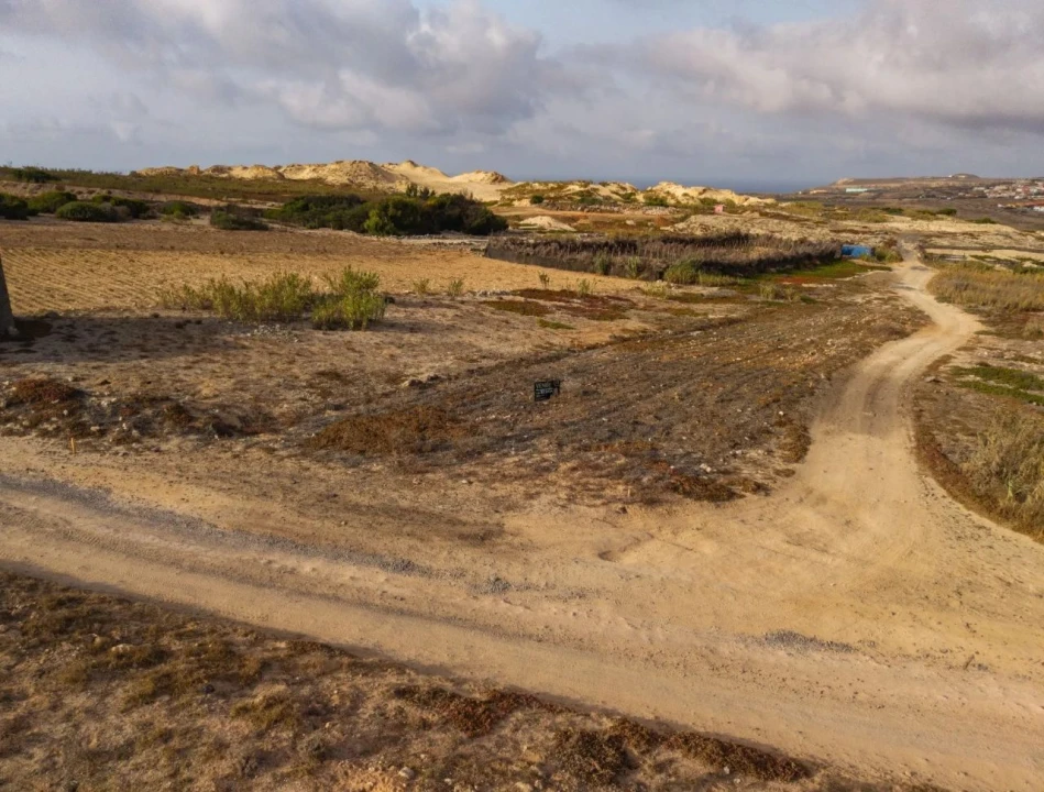Terreno para Venda em Porto Santo Foto 9