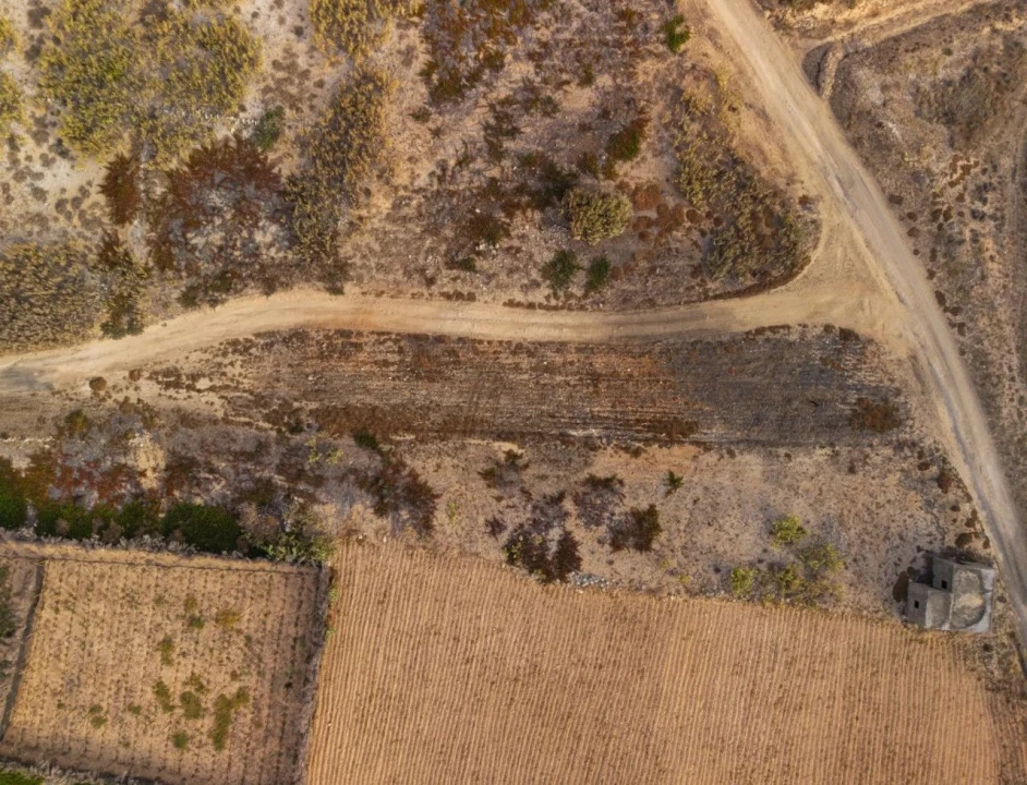 Terreno para Venda em Porto Santo Foto 12