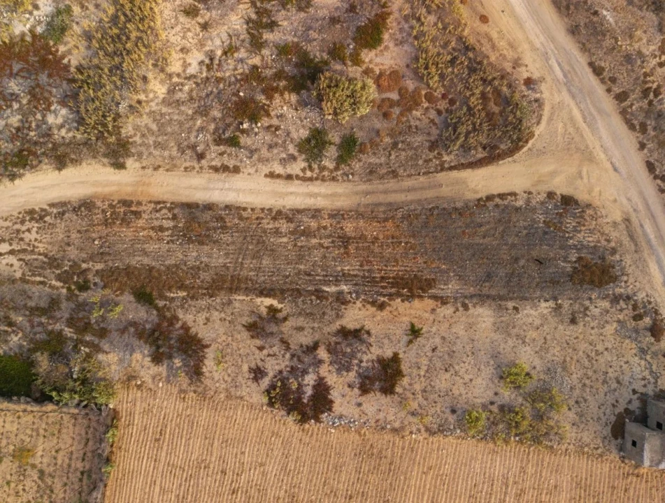 Terreno para Venda em Porto Santo Foto 13
