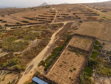 Terreno para Venda em Porto Santo