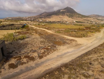 Terreno para Venda em Porto Santo