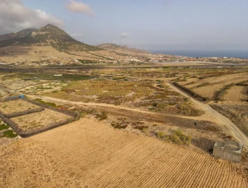 Terreno para Venda em Porto Santo