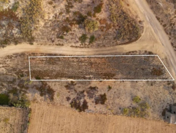 Terreno para Venda em Porto Santo