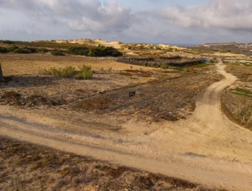 Terreno para Venda em Porto Santo