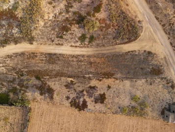 Terreno para Venda em Porto Santo