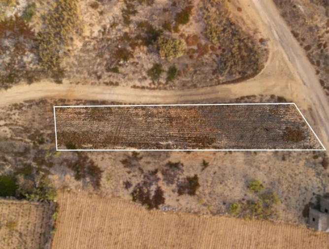 Terreno para Venda em Porto Santo Foto 7