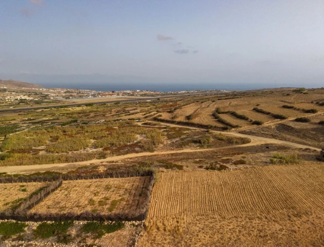 Terreno para Venda em Porto Santo Foto 10