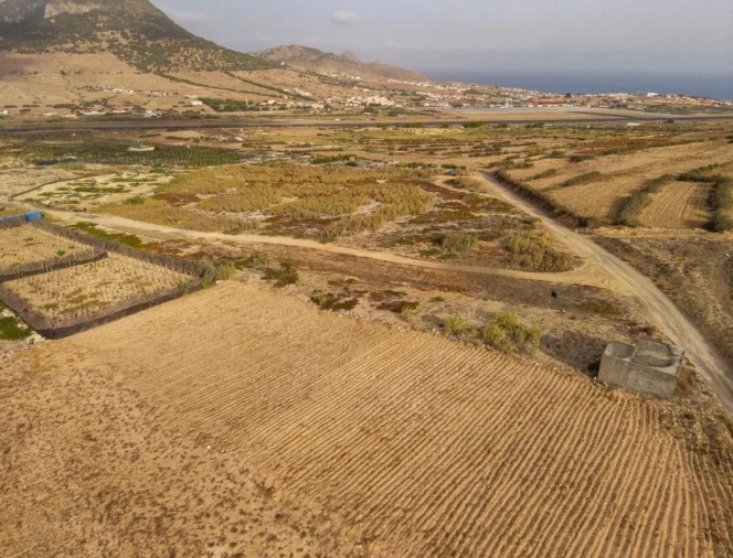 Terreno para Venda em Porto Santo Foto 11