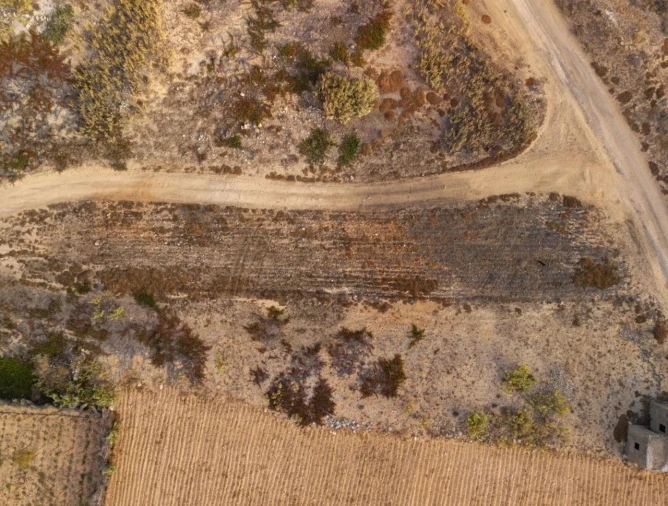 Terreno para Venda em Porto Santo Foto 13