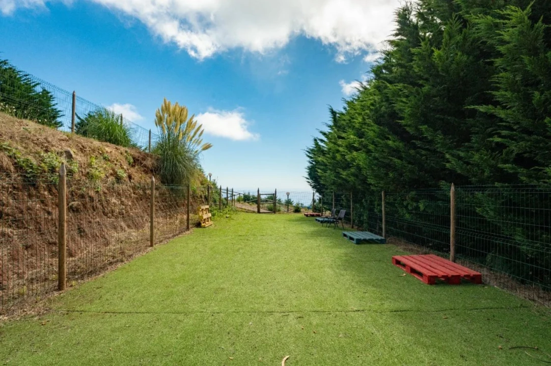 Terreno para Venda em Funchal Foto 7