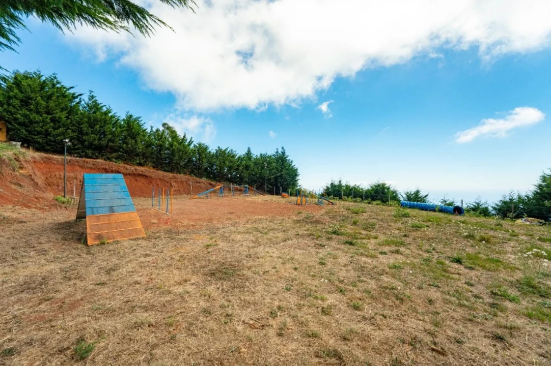 Terreno para Venda em Funchal Foto 15