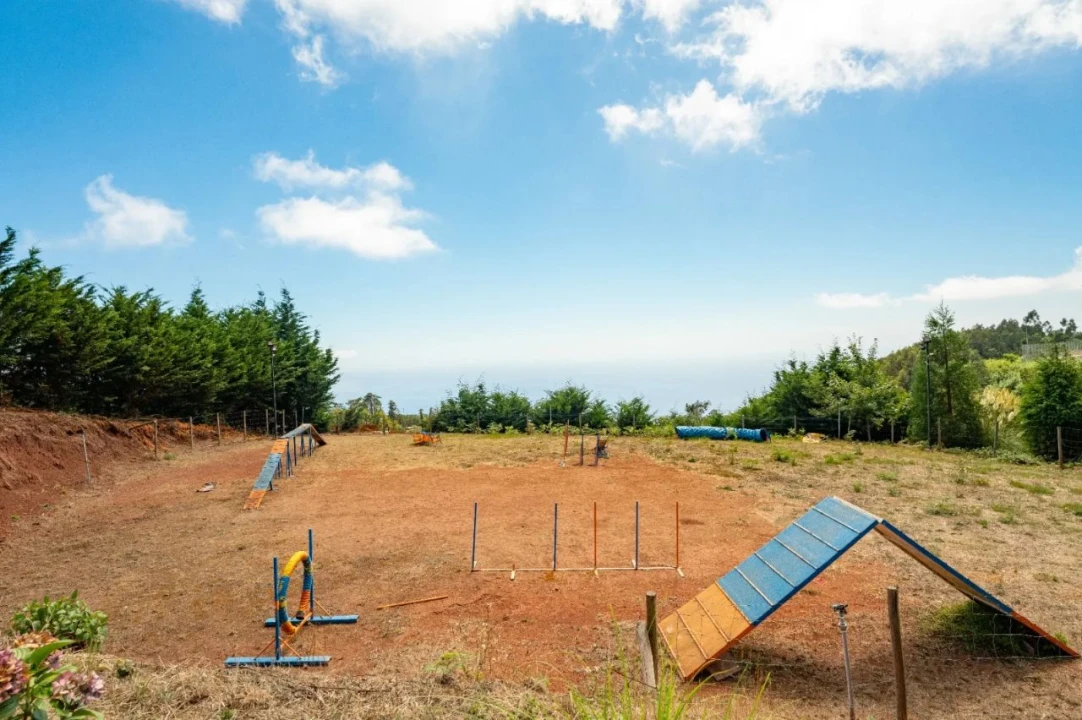 Terreno para Venda em Funchal Foto 18