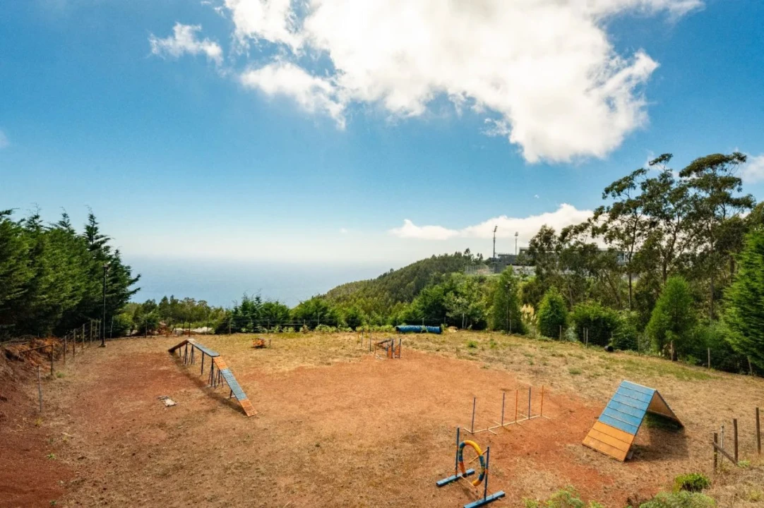 Terreno para Venda em Funchal Foto 17