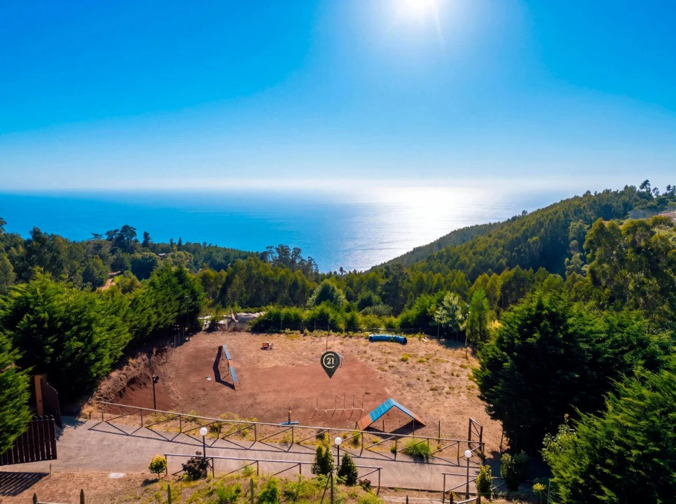 Terreno para Venda em Funchal Foto 19