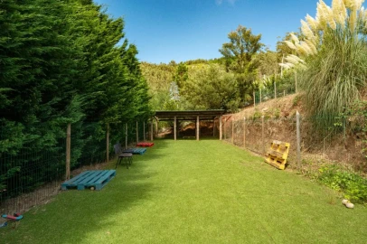 Terreno para Venda em Funchal
