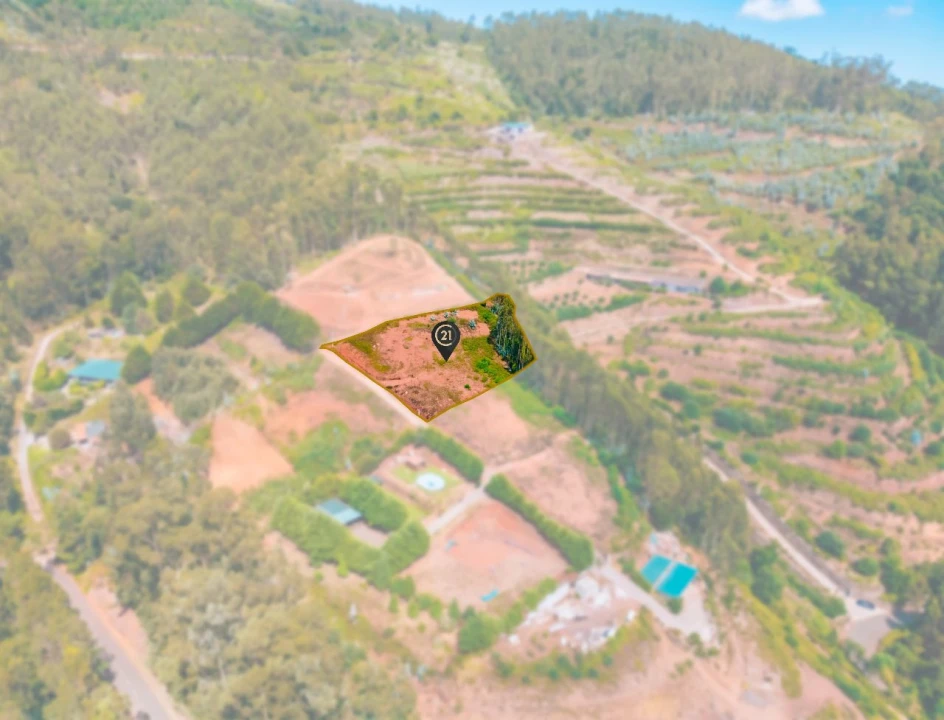 Terreno para Venda em Funchal Foto 24