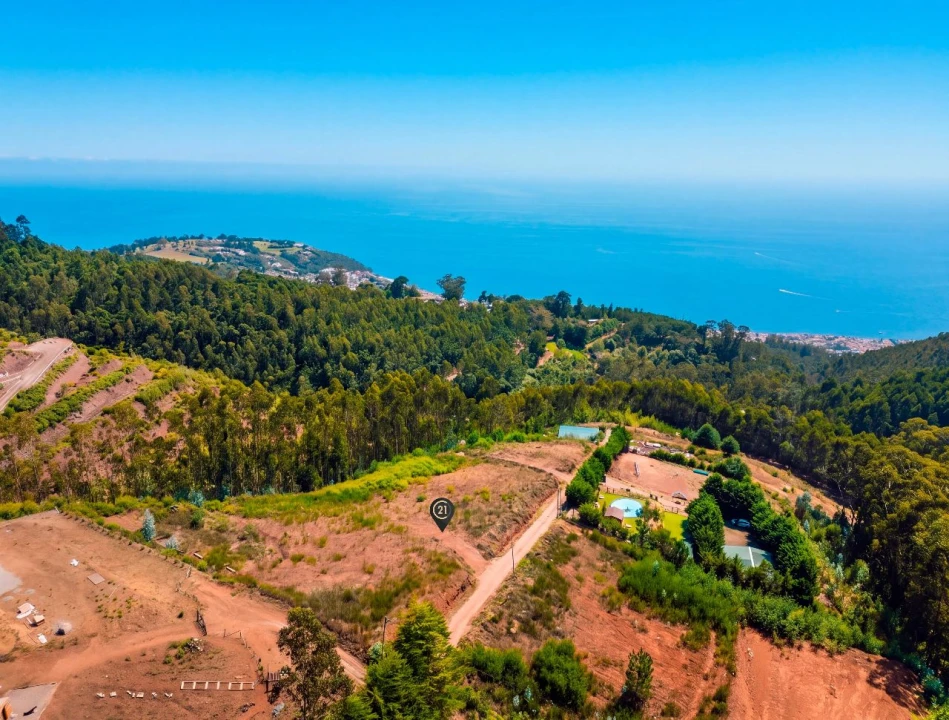Terreno para Venda em Funchal Foto 9
