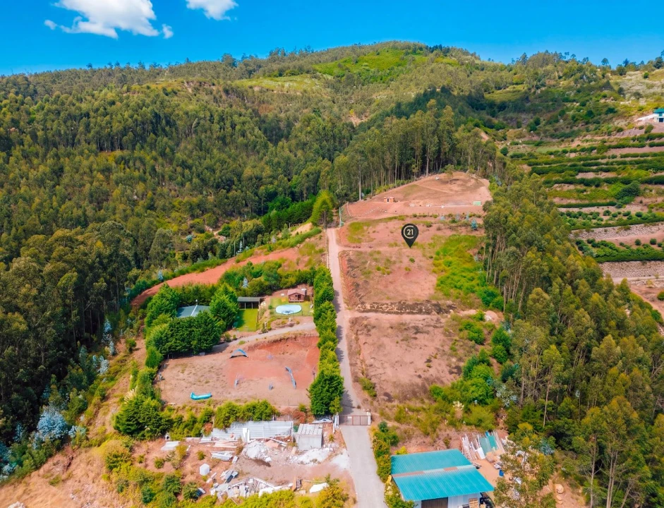 Terreno para Venda em Funchal Foto 18