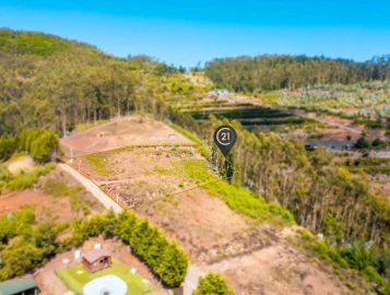 Terreno para Venda em Funchal